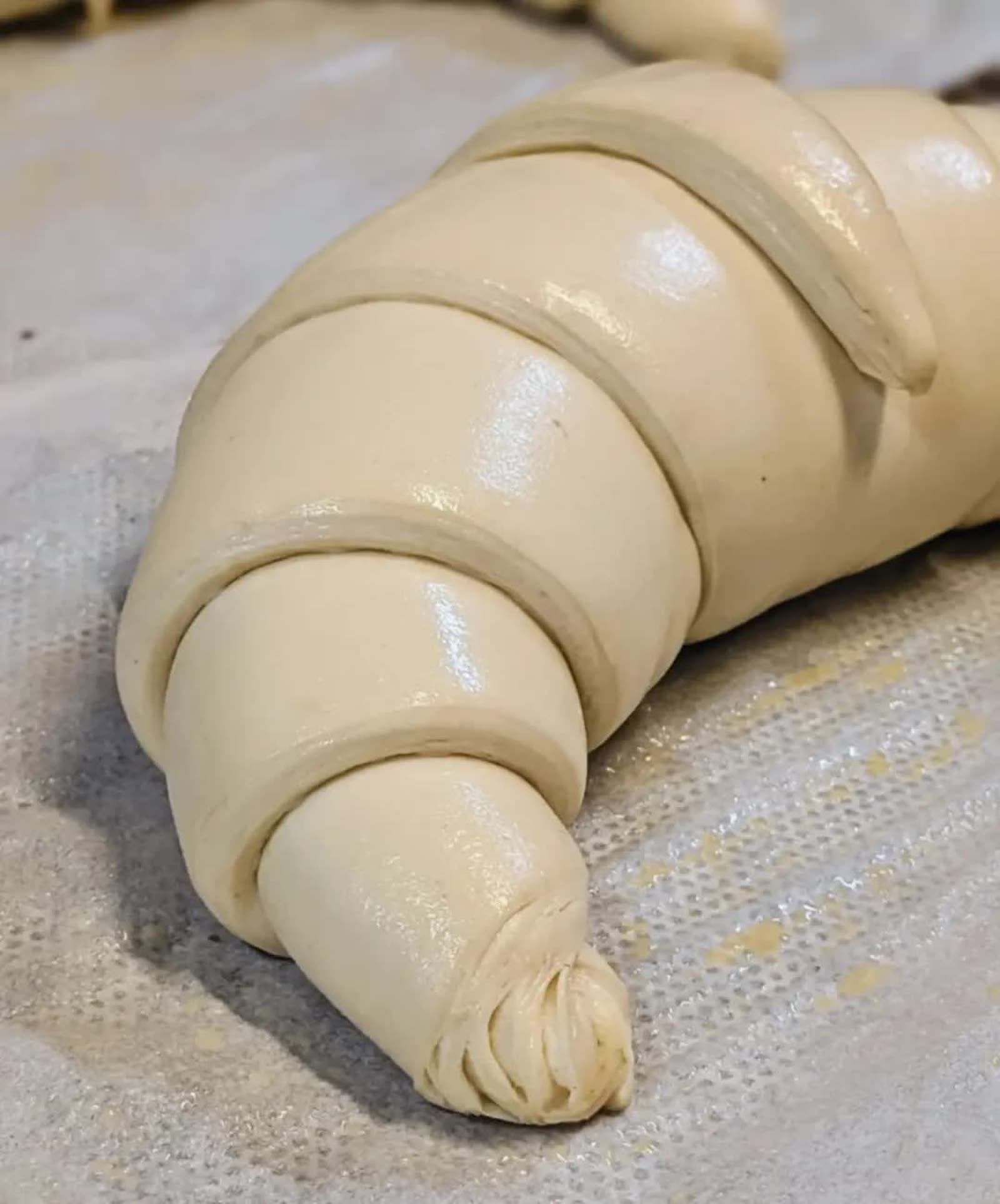 Façonnage artisanal des croissants avant cuisson